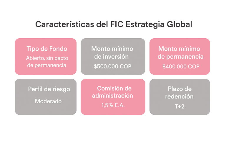 FIC Estrategia Global 5 FIC Estrategia Global por iShares de BlackRock