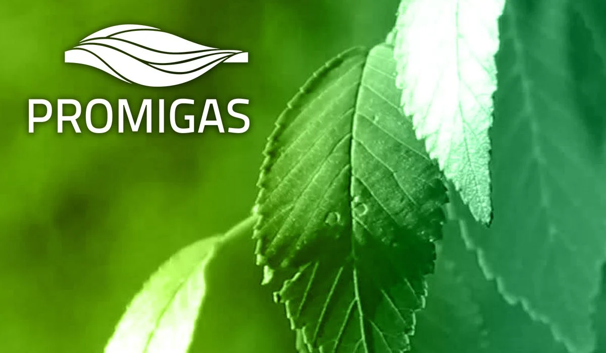 Promigas